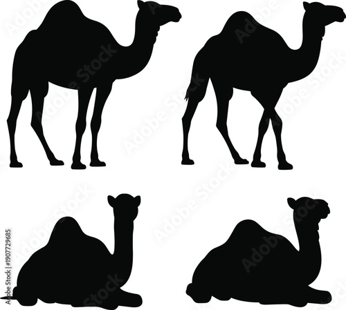 Camel silhouette set, desert animal collection, standing and resting camel shapes, isolated wildlife illustration, Arabian camel silhouettes, vector animal design elements pack