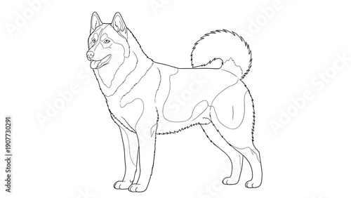 Profile line art illustration of a siberian husky dog showing its distinctive coat markings and curled tail.