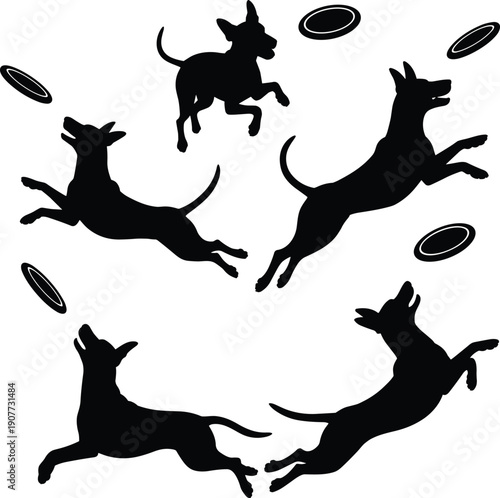 Dog playing frisbee silhouettes set, jumping and running dogs catching flying disc collection, pet activity concept isolated black vector illustration bundle pack