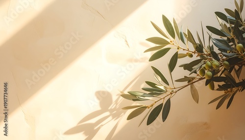 Olive branch with green olives on light marble, sunlit and casting shadows