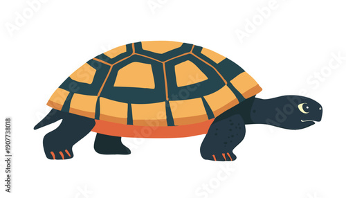 Cartoon turtle, flat vector 60s style, isolated transparent background