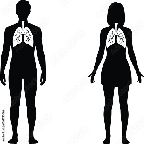 Black and white male and female human silhouette with lung anatomy illustration, medical respiratory system concept isolated on white background for healthcare design