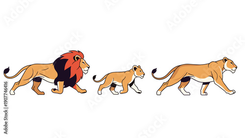 Group of three lions walking in a line including a large male with a mane, a small cub, and a female lioness across a white background.