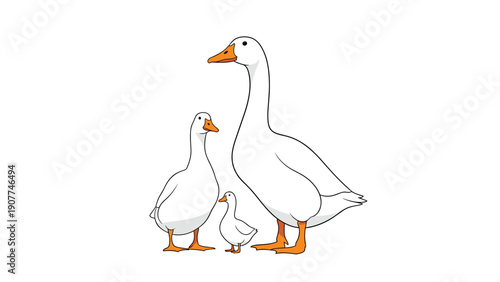 Family of three white geese including two large adults and a small gosling stand together in a group against a plain white background.