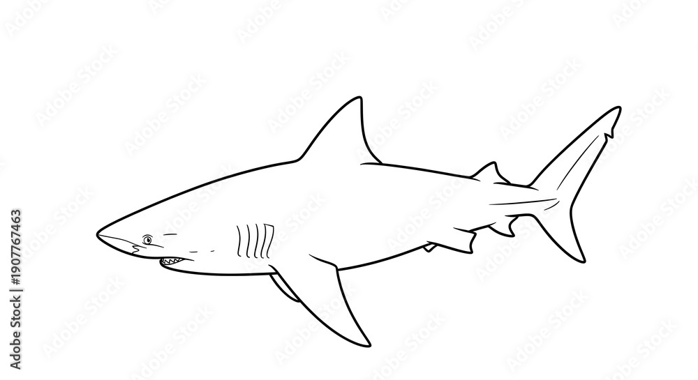 Fototapeta premium Minimalist side view profile of a shark rendered in clean black lines