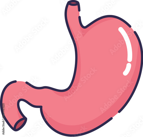 Set of Human Inner Organs Stomach