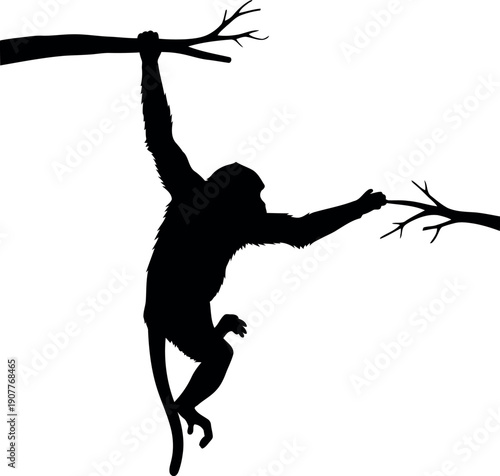 Silhouette of Monkey Swinging on Tree Branches Isolated on White Background Vector Illustration