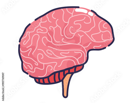 Set of Human Inner Organs Brain