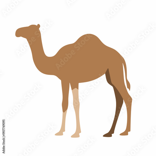 Brown Camel Desert Animal Vector Illustration