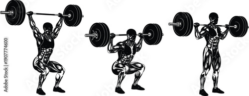 Professional weightlifting vector illustration set featuring detailed muscle anatomy of athletes performing heavy barbell squats and overhead presses on a white background.
