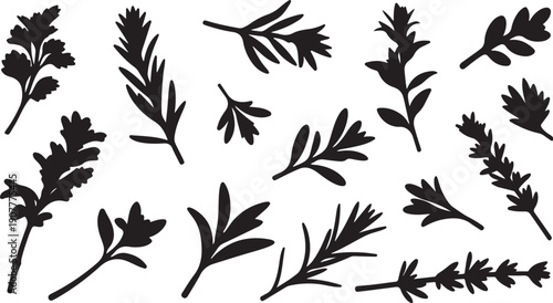 Collection of various black leaf silhouettes on white background