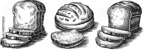 Vintage hand drawn bread illustration set with sliced loaves and round bun, engraved bakery food sketch collection, monochrome retro vector artwork