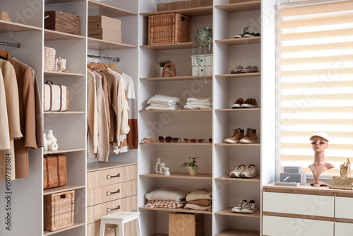 Shelves with stylish shoes,...