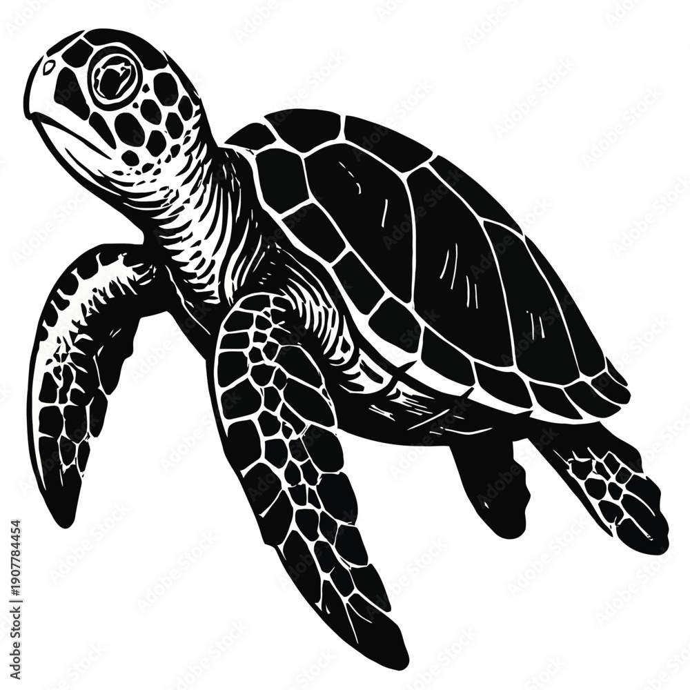 Fototapeta premium Sea Turtle Swimming Wildlife Style Vector Illustration, Marine Life Animal on White Background
