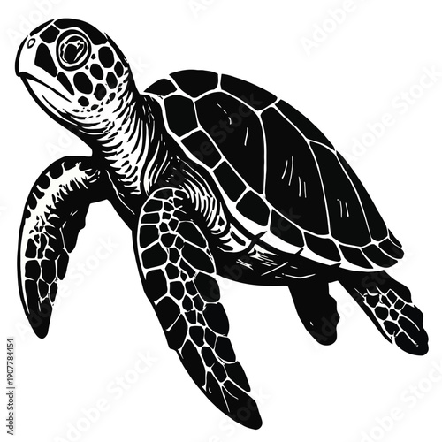 Sea Turtle Swimming Wildlife Style Vector Illustration, Marine Life Animal on White Background