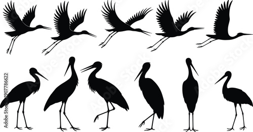 Set of black stork and crane silhouettes flying and standing in various poses isolated on white background for wildlife nature migration and wetland bird design