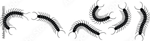 Collection of black centipede silhouettes with many legs and pincers isolated on white background for insect pest control biology education and creepy wildlife design