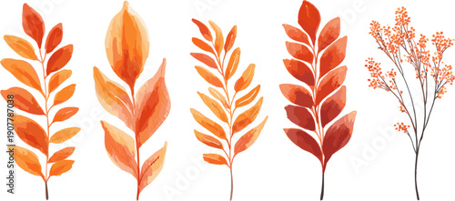 watercolor autumn leaves and twigs set, vector illustration