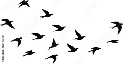 Black birds silhouettes flock flying in sky group of swallows or swifts migration on white background isolated vector illustration for nature design concept
