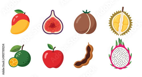 Variety of colorful fresh fruits illustration