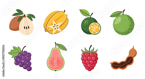 Various colorful fruit illustrations