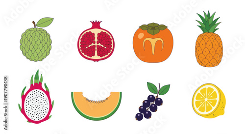 Various colorful fruit illustrations on white