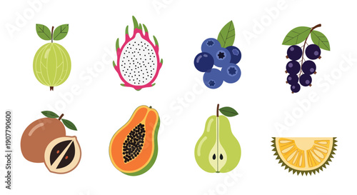 Various colorful tropical fruit illustrations