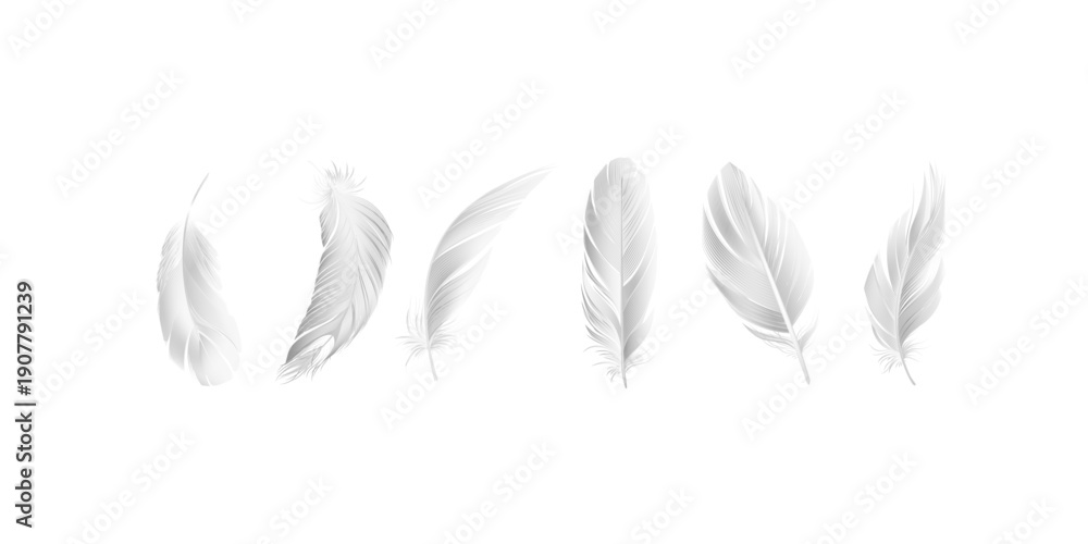 Obraz premium Set of falling fluffy twirled feathers rendered in realistic three dimensional style isolated on transparent background for decoration fantasy elegance softness and airy visual design projects