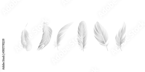 Set of falling fluffy twirled feathers rendered in realistic three dimensional style isolated on transparent background for decoration fantasy elegance softness and airy visual design projects