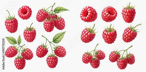 Vibrant collection of fresh red raspberries, ripe and juicy, with green leaves, isolated on a transparent background, perfect for healthy food designs and summer fruit concepts.