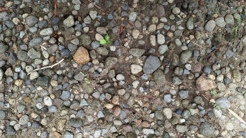 Natural small pebbles stones background close up high angle view of gray and brown river rocks on dry soil dirt ground, organic texture for construction, gardening, landscaping
