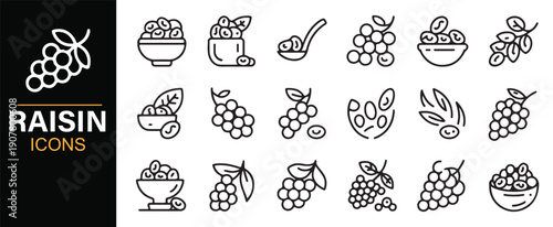 Raisin food linear icon collection for nutrition design