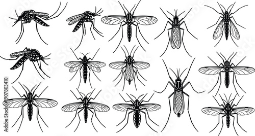 Mosquito insect silhouette collection flying pest bug set detailed wings anatomy vector illustration isolated on white background