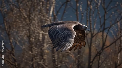 Eagle soaring over mountainous landscape with wings spread wide