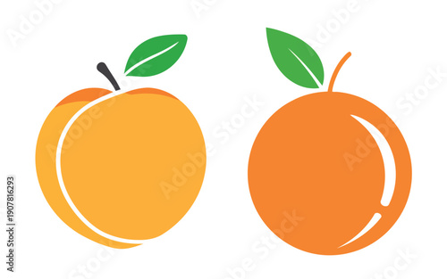 A vibrant illustration depicts two ripe oranges with green leaves showcasing a simple fruit design