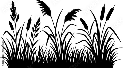 Grass and reeds silhouette vector illustration