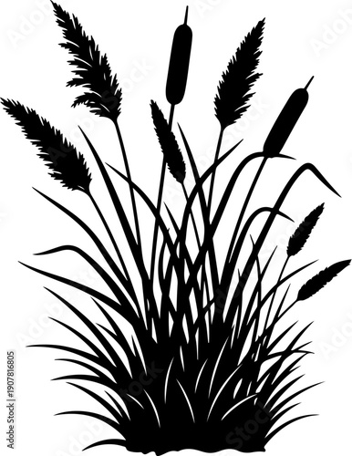 Grass and reeds silhouette vector illustration