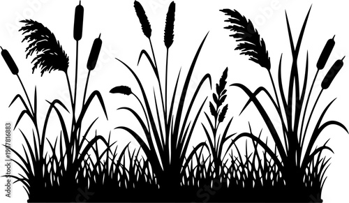 Grass and reeds silhouette vector illustration