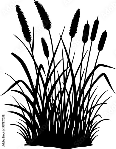 Grass and reeds silhouette vector illustration