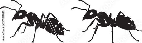 Two Black Ant Silhouettes - Simple Insect Vector Illustration for Pest Control and Nature Designs