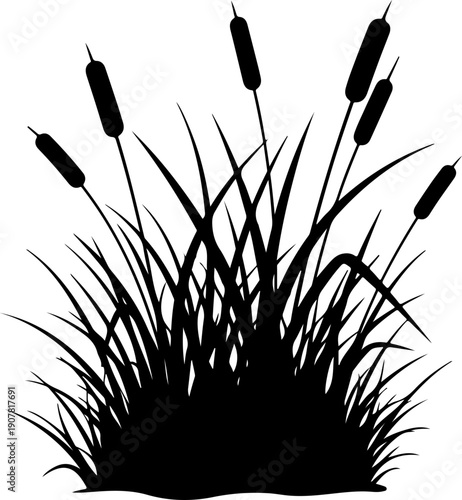 Grass and reeds silhouette vector illustration
