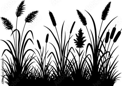 Grass and reeds silhouette vector illustration