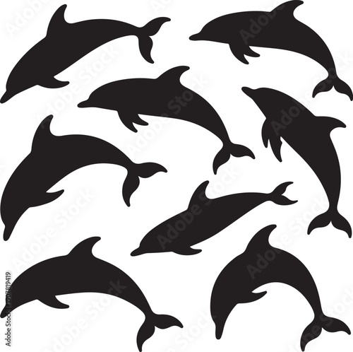 dolphin silhouettes