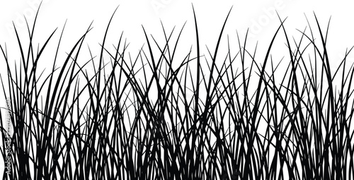 Wild grass silhouette background, meadow reeds plants nature texture landscape border black flat vector illustration design