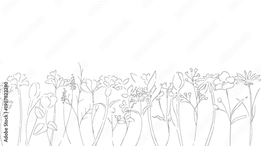 custom made wallpaper toronto digital植物の線画イラスト。植物のベクターイラスト背景。葉っぱと花の背景フレーム。 Botanical line art illustration. Botanical vector illustration background. Leaves and flowers background frame.