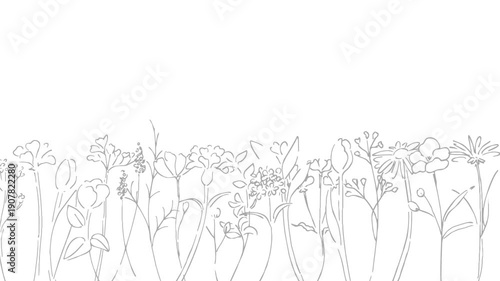 Wallpaper Mural 植物の線画イラスト。植物のベクターイラスト背景。葉っぱと花の背景フレーム。 Botanical line art illustration. Botanical vector illustration background. Leaves and flowers background frame. Torontodigital.ca