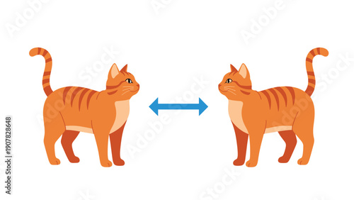 Two orange tabby cats standing apart with a blue arrow between them to represent social distancing requirements.
