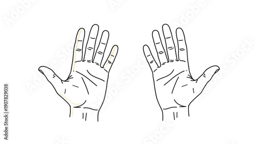 Simple black and white line drawing of two human open palms shown from the front side against a clean white background.