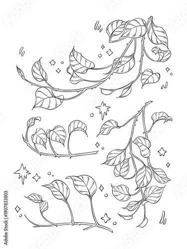 Pothos illustration, botanical drawing, black and white, digital art.