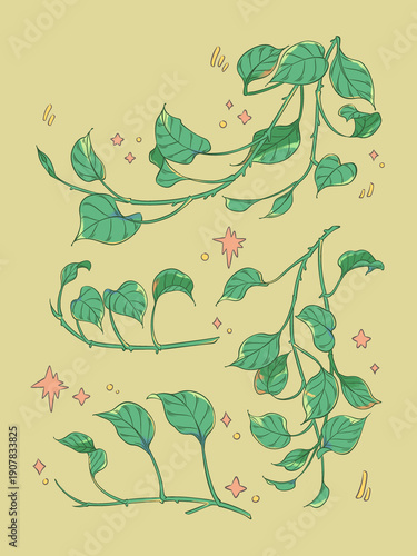 Pothos illustration, botanical drawing, digital art.